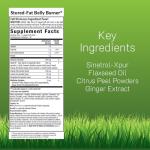 Irwin Naturals Stored-Fat Belly Burner - with Sinetrol, Grapefruit, Sweet Orange & Blood Orange - 60 Liquid Soft-Gels