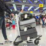 GDJEGE PU Leather Luggage Tags for Suitcase, Travel Cruise 2 Pack with Privacy Flap, Name ID Label and Metal Loop for Women Men Girls Baggage Bag Backpack Instrument, Boho Leaves