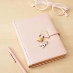 Juvale Luggage Locks with Keys - 12-Pack, 0.7 x 1.2 x 0.25 in, Gold & Silver - TSA Approved Locks for Luggage & Travel Security