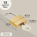 Juvale Luggage Locks with Keys - 12-Pack, 0.7 x 1.2 x 0.25 in, Gold & Silver - TSA Approved Locks for Luggage & Travel Security