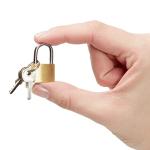 Juvale Luggage Locks with Keys - 12-Pack, 0.7 x 1.2 x 0.25 in, Gold & Silver - TSA Approved Locks for Luggage & Travel Security