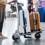 AYYQHC 2 Pack Leather Football Sport Fan Luggage Tag for Suitcase，Black Yellow Design Travel Suitcase Tag with Privacy Flap Address Labels