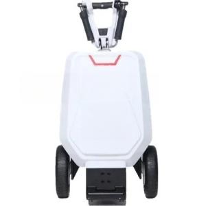 Hot Selling Luggage Remote Trunk Folding Three-wheel electric Wheelchair Mobility Scooter For Disabled,Could Carry On The Plane
