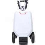 Hot Selling Luggage Remote Trunk Folding Three-wheel electric Wheelchair Mobility Scooter For Disabled,Could Carry On The Plane