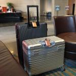 Mr. Pen- Luggage Tags, 4 Pack, Colorful,Luggage Name Tags for Suitcases