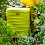 InUSA DEEP Luggage with GEL Handle | Spacious Traveling Suitcases, Travel Suitcase with Dual Spinner Wheels and Studs | 24 Inch Medium Hardside Luggage | Green