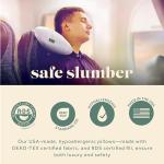 ComfyDown Goose Down Travel Pillow - Filled with 800 Fill Power European Goose Down, Egyptian 300 Thread Count 100% Cotton Cover for Plane car & Home - Made in USA (12x16)