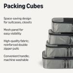 Amazon Basics 4 Piece Packing Cubes for Travel, Travel Organizer Zipper Cubes Set, Medium, Gray