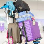 2Pack Luggage Tags for Suitcases, Cute Unique Pu Leather Cruise Luggage Tag with Privacy Cover ID Label Address Card and Metal Ring Suitable for Women Men Kids Travel Bag Linear Flower