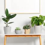 100 Pcs Plastic Shipping Tags, 2.44 x 1.45 Inch Writable Blank Hanging Tags with Sealing Strap, Waterproof Sealing Shipping Labels for Luggage Logistic Keys Information Identity, White