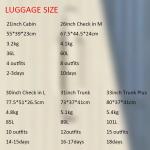 NEW Fashion 20" 31inch lightweight cabin/check/trunk suitcase With Wheels Spinner Baggage High Quality Luggage