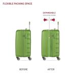 SwissGear 7366 Signature Hardside Expandable Luggage with Spinner Wheels, TSA Lock, Cup-Holder, Green, Carry-On 19-Inch