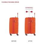 SwissGear 7366 Signature Hardside Expandable Luggage with Spinner Wheels, TSA Lock, Cup-Holder, Orange, Carry-On 19-Inch