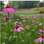Work, Business Trips, and Travel Backpack Classic Commuter Men's Bag