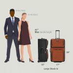 Travel Select Amsterdam Softside Expandable Rolling Luggage, Lightweight 2-Wheel Check-In Suitcase with Push-Button Handle, Burgundy, 29" Large