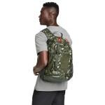 Eddie Bauer Stowaway Packable Backpack | Travel | Outdoor | Lightweight | Foldable | Durable | Ripstop Polyester | 30L - Maroon