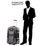 Travelpro Unisex-Adult Bold Softside Expandable Rollaboard Upright Luggage, Grey/Black, Checked-Large 28-Inch