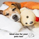 Toddler Pillow with Pillowcase - 13x18 My Little Dreamy Kids Travel Bed Pillows for Sleeping, Organic Cotton Small Pillowcase, Soft & Breathable, Machine Washable, Toddlers 2-5 Years Old (Soft White)