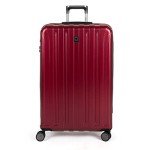 DELSEY PARIS Titanium Hardside Expandable Luggage with Spinner Wheels Checked Luggage, Black Cherry Red, Checked-Large 29 Inch