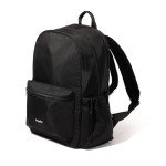 Baggallini Securtex Anti-Theft Laptop Backpack, Black