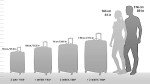 Travel Select Amsterdam Expandable Rolling Upright Luggage, Gray, Checked 25-Inch