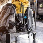 Lewis N. Clark TSA Approved Padlock & Bike Lock for Luggage + Travel, Set Your Combo w/30in Retractable Steel Cable, Blue, One Size