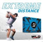 Bridgestone Golf 2023 e9 Long Drive White Golf Balls
