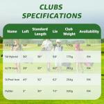 XDriveMax 6 Pieces Kids Golf Club Set, Junior Golf Club Set Ages 12-14 Includes Stand Bag, 1# Drive, 5# Hybrid, 6/7#, 9/P# Irons and Putter Right Hand for Boys Girls