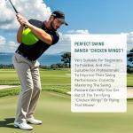 MELE LINKS The Connector Golf Training Aid, Golf Swing Trainer for Posture Correction Practice, Golf Swing Training Aid, Golf Training Aids Helps Train Proper Swing Mechanics, Arm Structure #Green