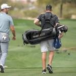 HYPATA 14 Way Golf Stand Bag-Lightweight Golf Bag for Men Women, Premium PU Leather Golf Bag with Stand, 8 Pockets, Cooler Pouch, Rangefinder Pouch, Detachable Dual Strap, Rain Cover Hood, Gray