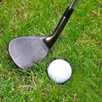 Golf Wedges (Color 05)