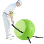 HANQUAN The Connector Golf Training Aid,Simple and Effective Training Tool,Golf Swing Trainer for Posture Correction Practice,Golf Training Aids Helps Train Proper Swing Mechanics,Arm Structure