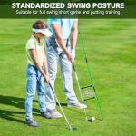 ATTRACTIVE 48-Inch Golf Alignment Sticks 2 Pack Collapsible Golf Practice Rods for Aiming, Putting,Golf Training Sticks with Clear Tube Case (Green)