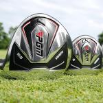 PGM 18 Pieces Men's Complete Golf Club Set with Driver, Fairway, Hybrid, Irons, Putter, Stand Bag & Headcovers - Ideal for Beginners (Standard)