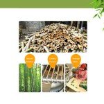 KLLsmDesign Professional Bamboo Golf Tees, 2.75 Inch (7cm) Length, Stronger Than Wood, No Side Spin Friction, 1000pcs Per Pack Color in Solid Nature