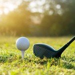 Lewtemi Wood Golf Tees Bulk Long Golf Tees Bamboo Ball Accessories for Men Women Balls Lovers Club, Reduce Side Spin and Friction(1500 Pcs,White,3 1/4 Inch)