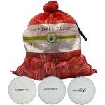 Golf Ball Planet 72 Used Golf Balls for Bridgestone in Mesh Bag 3A/2A Condition
