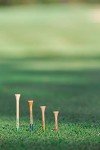 Pride Professional Tee System, 3-1/4 inch ProLength Plus Tee, 135 count, Natural