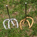 Champion Sports Classic Horseshoe Set: Traditional Outdoor Lawn Game includes Four Professional Solid Steel Horseshoes with Solid Steel Stakes & Carrying Case