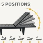 DWVO Outdoor Chaise Lounge with Cushion, Patio Chaise Lounge Chair Set of 2 w/ 5-Level Backrest, Lounge Chair for Garden, Pool, Beach and Patio, Easy Assembly & Lightweight (Black)