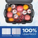 Maelstrom Soft Cooler Bag,Soft Sided Cooler,30 Cans Collapsible Cooler,Insulated Ice Chest,Large Leakproof Camping Cooler,Portable Travel Cooler for Kayaking,Beach,Gray