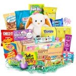 Easter Baskets for Kids Already Filled - Prefilled Easter Baskets for Teens, Adults, for Boys, and Girls