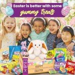 Easter Baskets for Kids Already Filled - Prefilled Easter Baskets for Teens, Adults, for Boys, and Girls