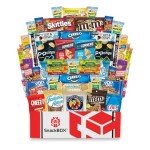 SnackBOX Care Package College Students | Snacks BOX Variety Pack (50 Count) | Holiday, Teachers, Back to School, Date Night, Birthday, Office, Camping, Chips, Military, Basket, Gift Ideas