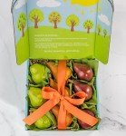 A Gift Inside Pears to Compare Deluxe Fruit Gift
