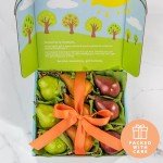 A Gift Inside Pears to Compare Deluxe Fruit Gift