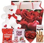 Valentines Day Gift Basket Set | Teddy Bear Plush (COLOR VARYS), Creme Savers Hard Candy, Individually Wrapped, Hershey Kisses Milk Chocolate, Heart Shape Elmer Chocolates Dark Chocolate or Hazelnut Pirouline Wafers, & Valentine Bag (Design Varies |