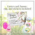 Easter Care Package (50ct) - Candy Snacks Treats Plush Bunny Cookies Gift Box Bundle Basket Fillers Stuffers Present Kids Adults Boys Girls College Student Child Grandchildren Toddlers