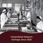 Godiva Chocolatier Assorted Chocolate Gift Box, Creamy Milk Dark, and White Chocolates for Loved Ones, Gourmet Valentine Box of Chocolate for Gift Basket, Candy Variety Pack, 18pc