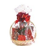 Morepack Clear Basket Bags, 10 Pack 22x32 Inches Large Cellophane Bags Clear Printed Cellophane Wrap for Gift Baskets